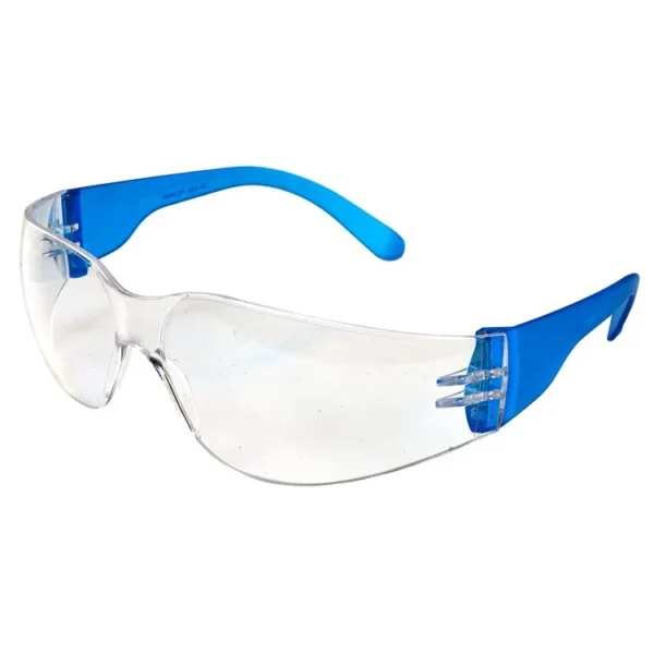 Raga PG 40 CLEAR Goggles Eye Protection