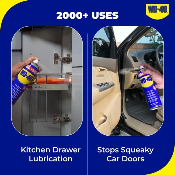 WD-40 Multipurpose Spray, Lubricant, Rust Remover, Cleans Bike Chains, Squeak Noise, Stain Remover, Cleaning Agent, 170g |