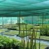 42 Gardening Shade net 50% Shade Meters Role Full Green Thick and UV Treated Long Life for Agriculture Gardening Building Construction and Safety Net. (3X50MTR) |