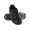 MALLCOM CIVET |