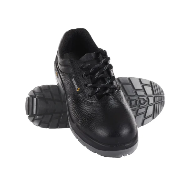 MALLCOM CIVET |