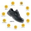 MALLCOM CIVET |