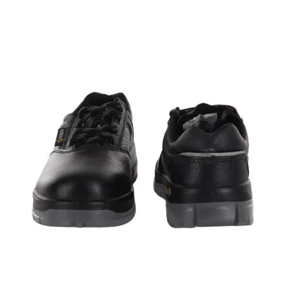 MALLCOM CIVET |