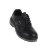 MALLCOM CIVET |
