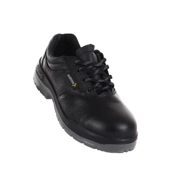 MALLCOM CIVET |