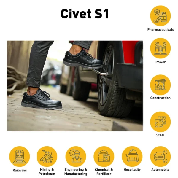 MALLCOM CIVET |