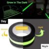 Anti Skid Tape Glow In The Dark (18 Meter), Multicolor |