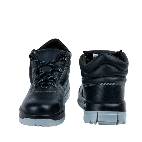 MALLCOM CARACAL |